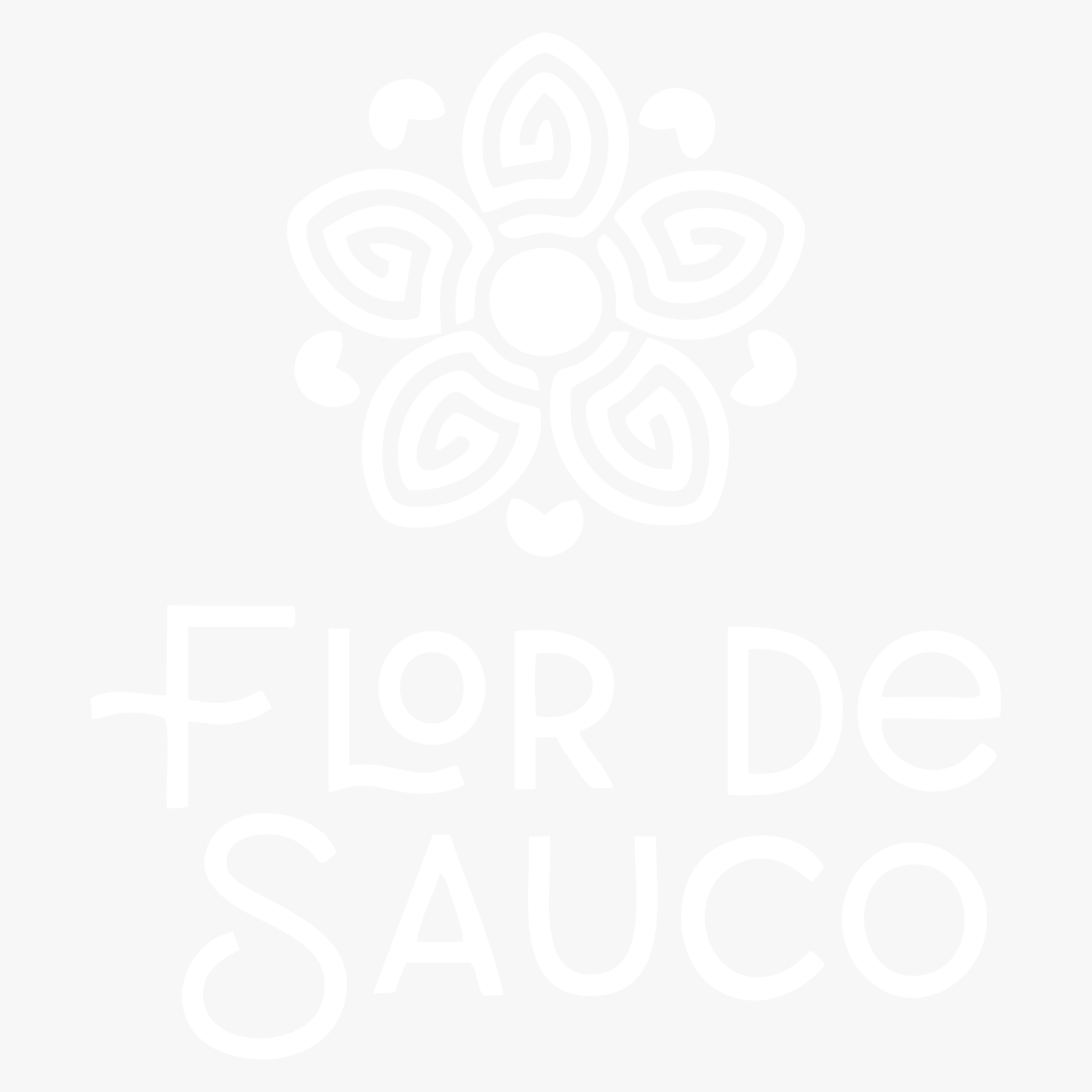 Flor de Sauco